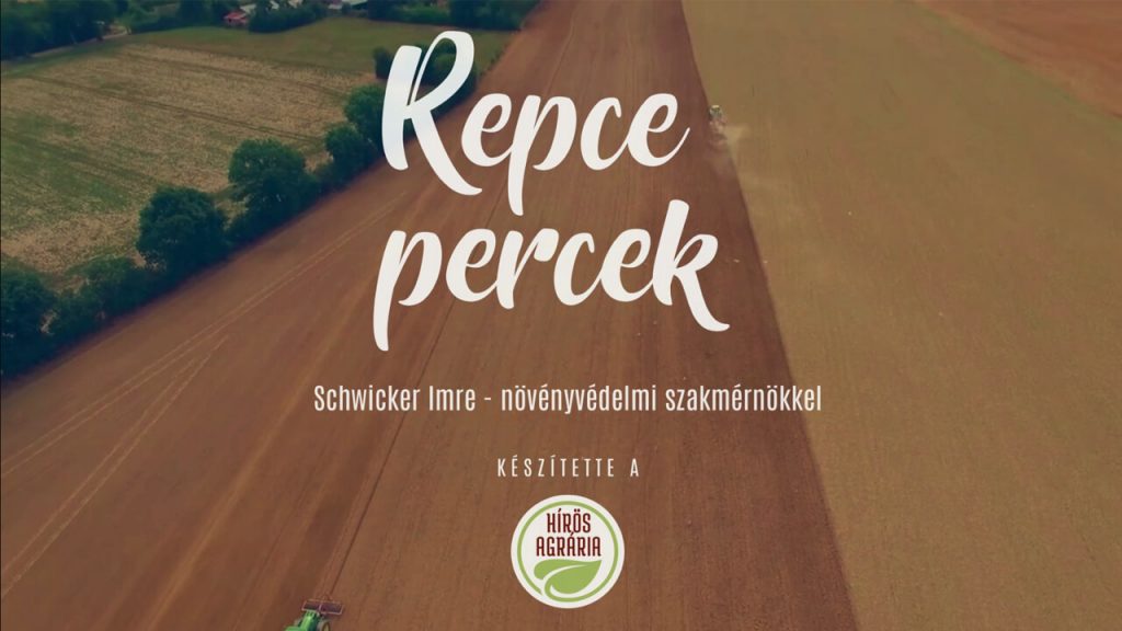 Repce Percek