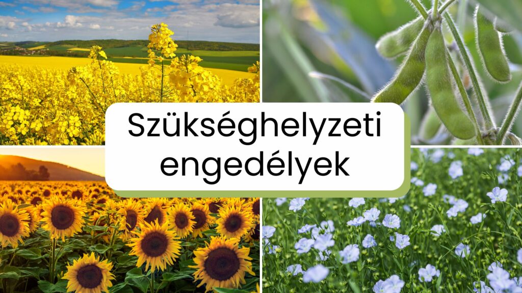 4 növényvédő szer szükséghelyzeti engedélye került kiadásra