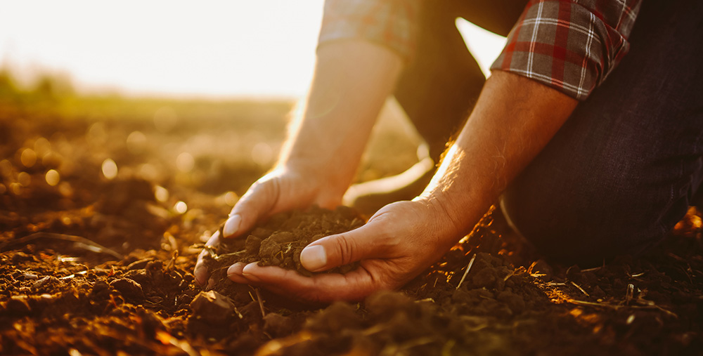 Talaj- és növénykondicionálók: költség vagy befektetés?