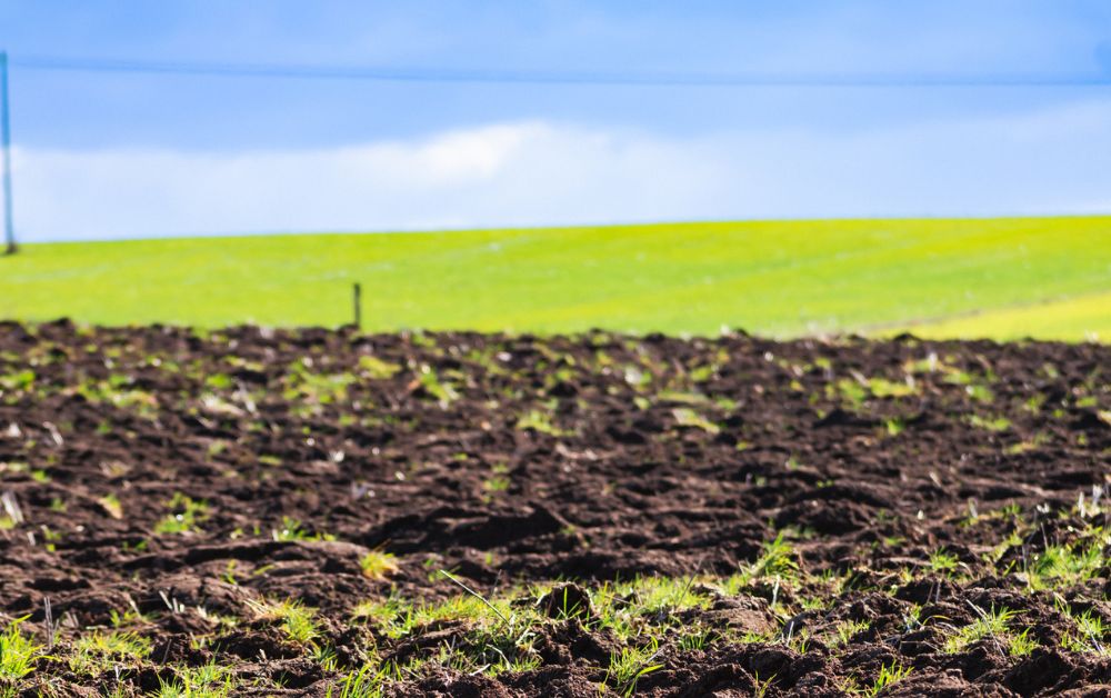 Őszi talajelőkészítés aszályban: hogyan őrizzük meg a talaj nedvességét?